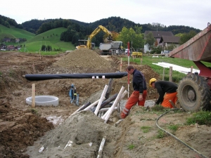Galerie Bild 2